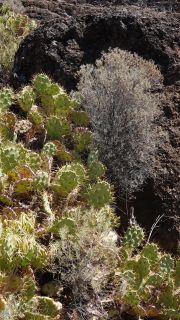 2022-04-GranCan-Agaete-Trekking_view-PM-NN-035.JPG